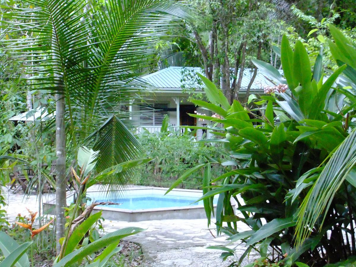 بونتا غوردا Hickatee Cottages, Belize, Central America المظهر الخارجي الصورة