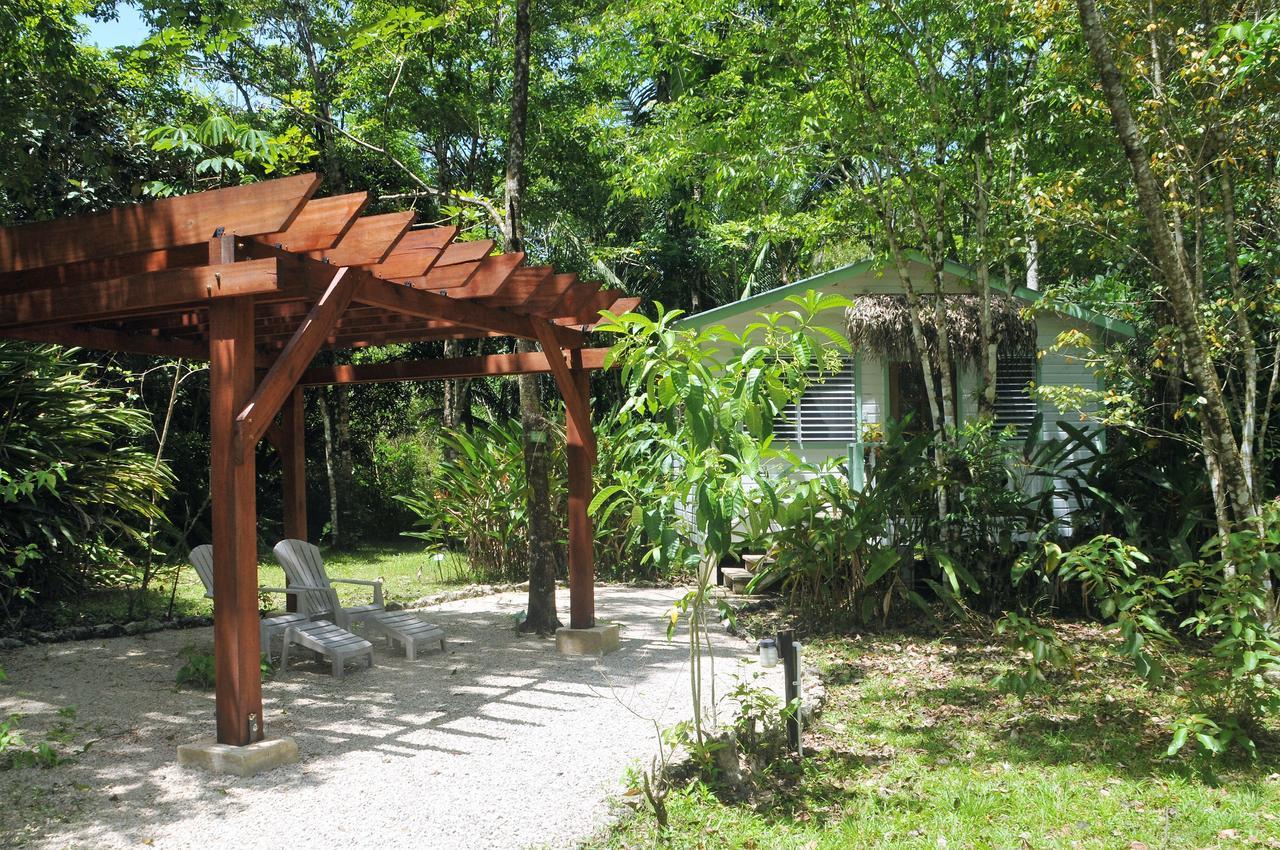 بونتا غوردا Hickatee Cottages, Belize, Central America المظهر الخارجي الصورة