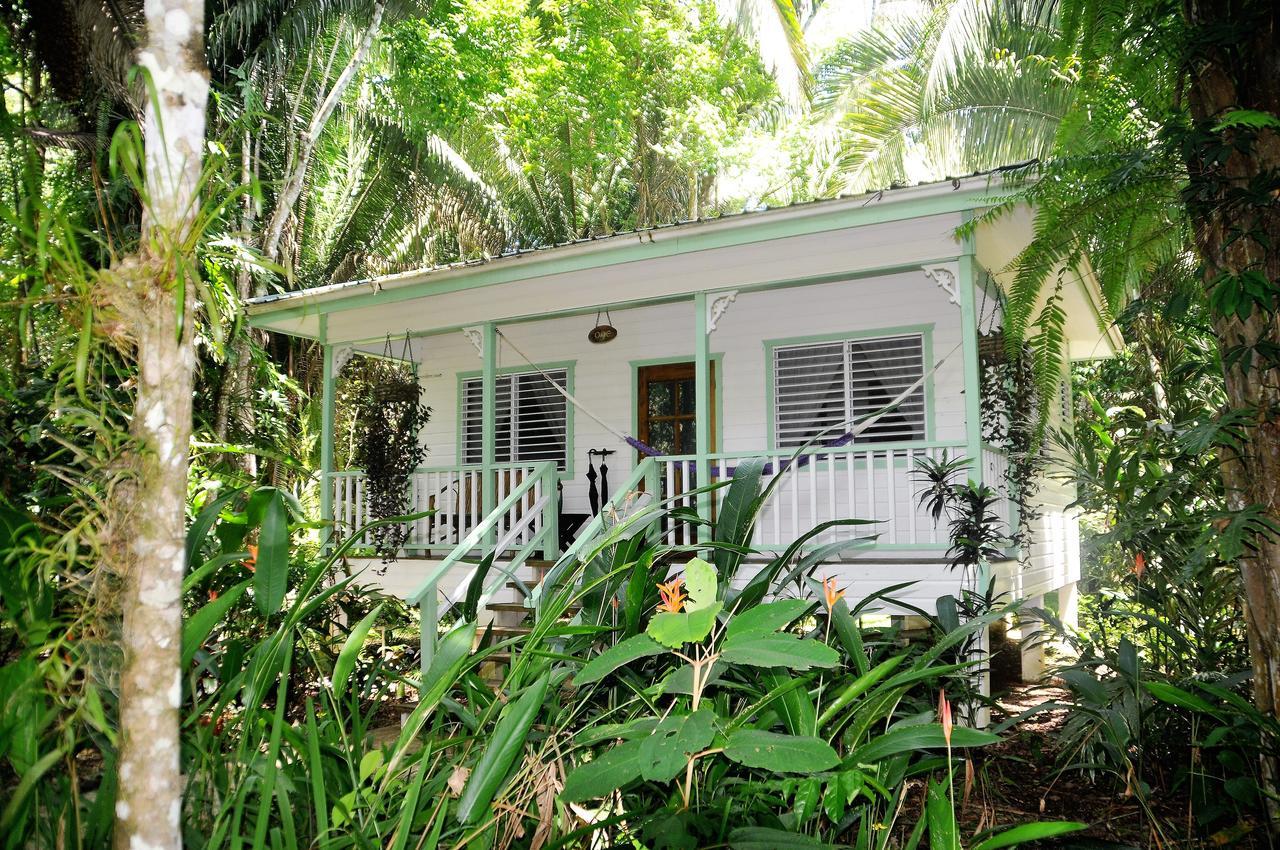 بونتا غوردا Hickatee Cottages, Belize, Central America المظهر الخارجي الصورة