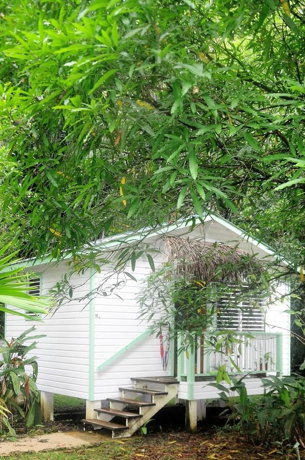 بونتا غوردا Hickatee Cottages, Belize, Central America المظهر الخارجي الصورة