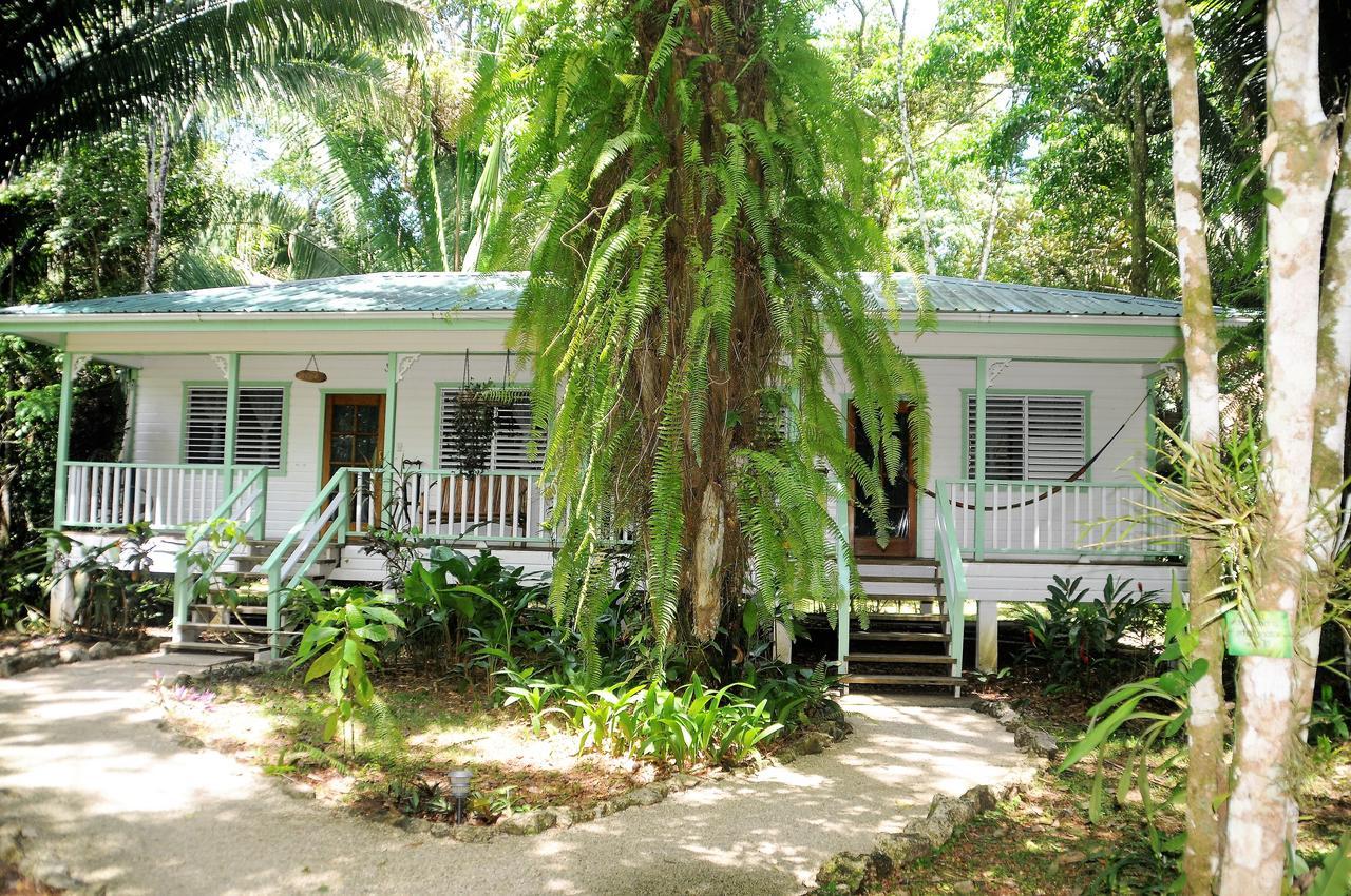 بونتا غوردا Hickatee Cottages, Belize, Central America المظهر الخارجي الصورة