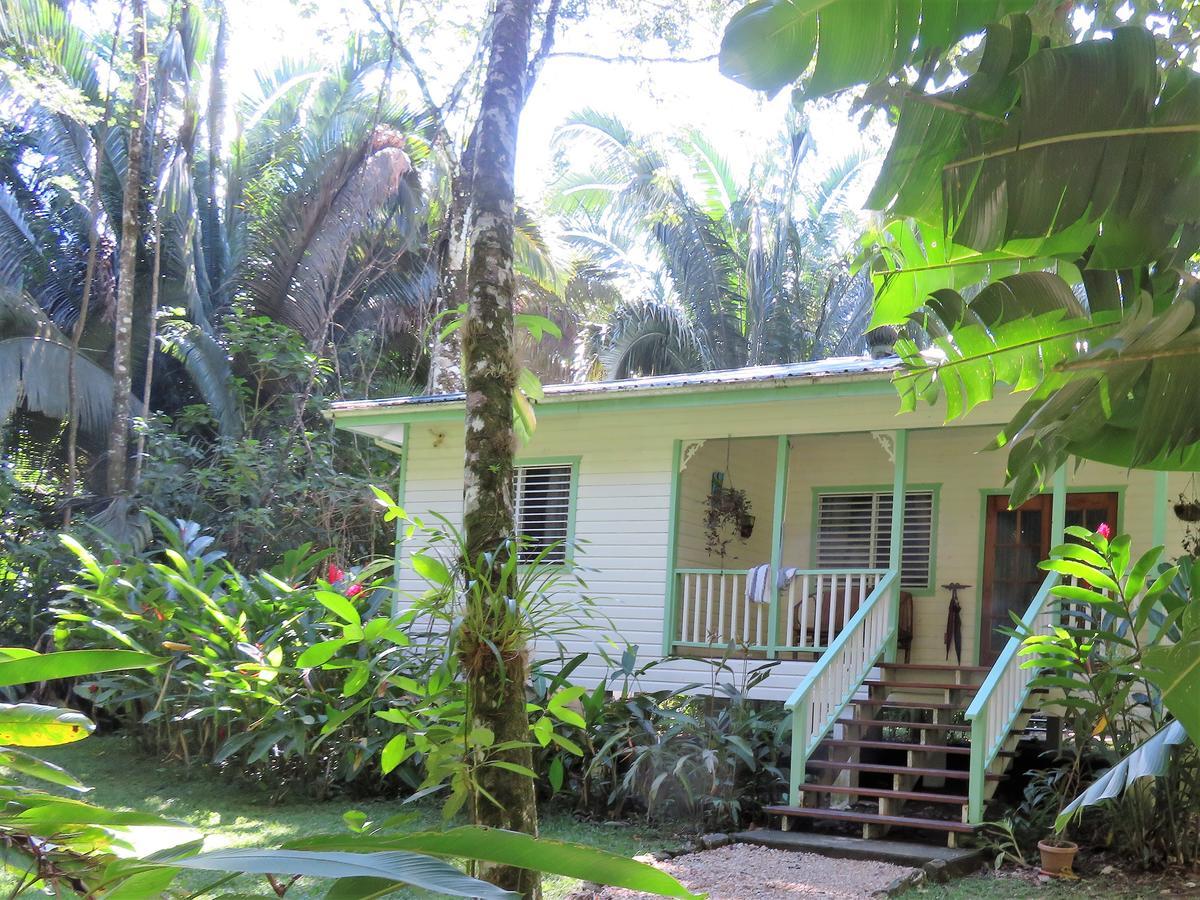 بونتا غوردا Hickatee Cottages, Belize, Central America المظهر الخارجي الصورة